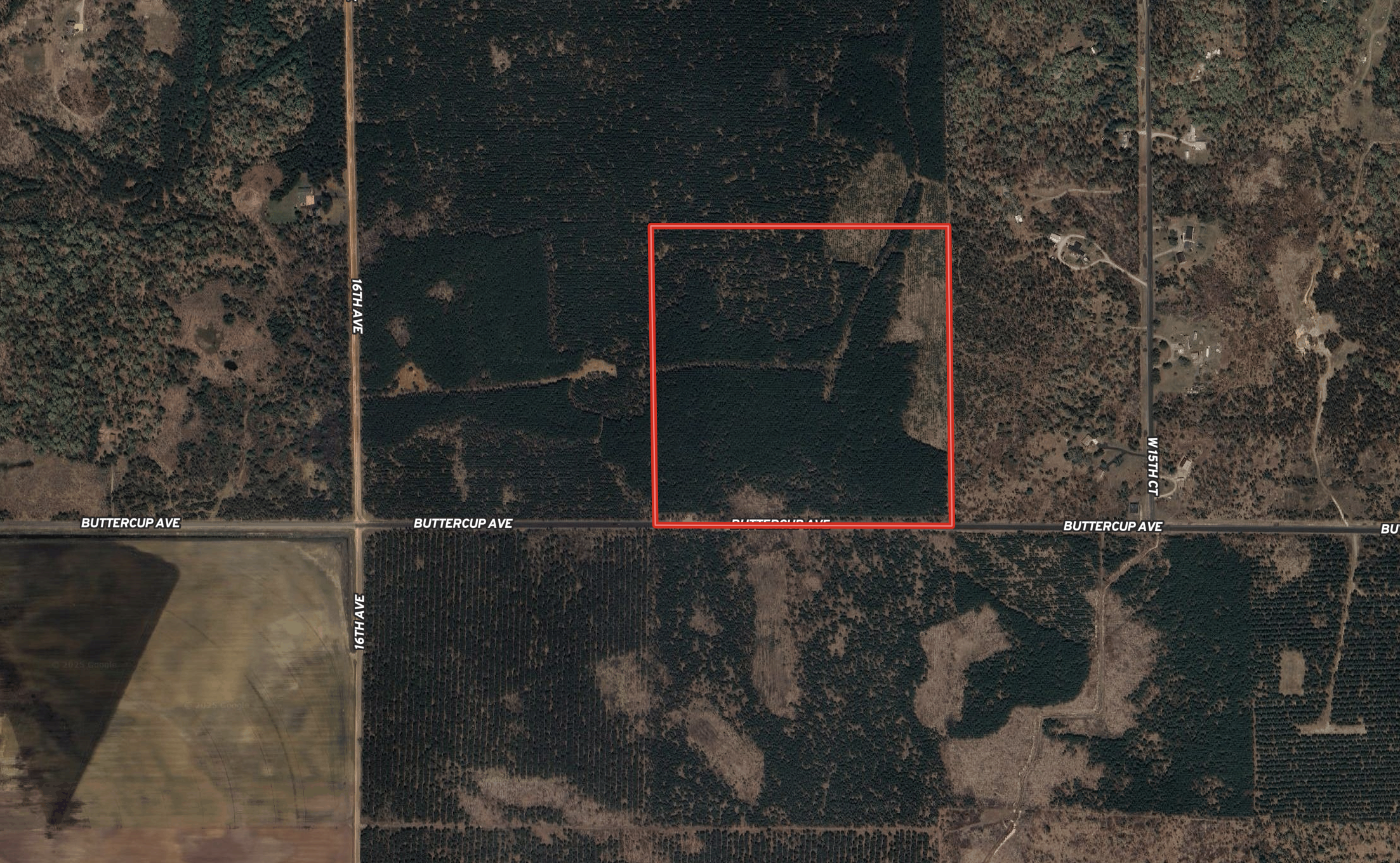 40-acre timber tract in Adams County