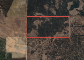 80-acre timber tract in Adams County