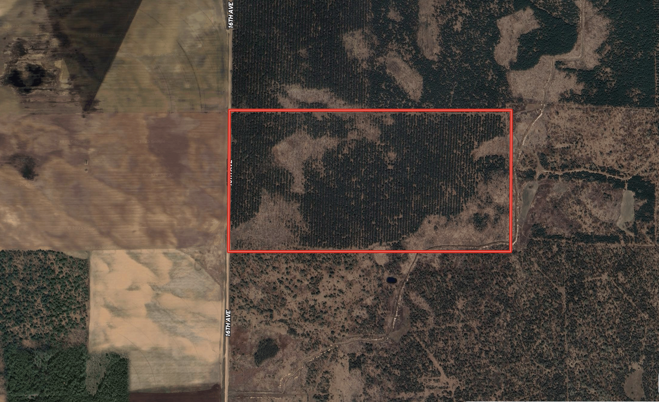 80-acre timber tract in Adams County