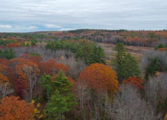 10 Acre Acreage on Quiet Dead End Road