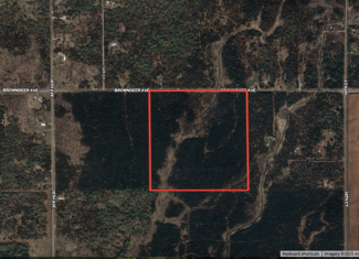 40-acre timbered tract in the Town of Big Flats