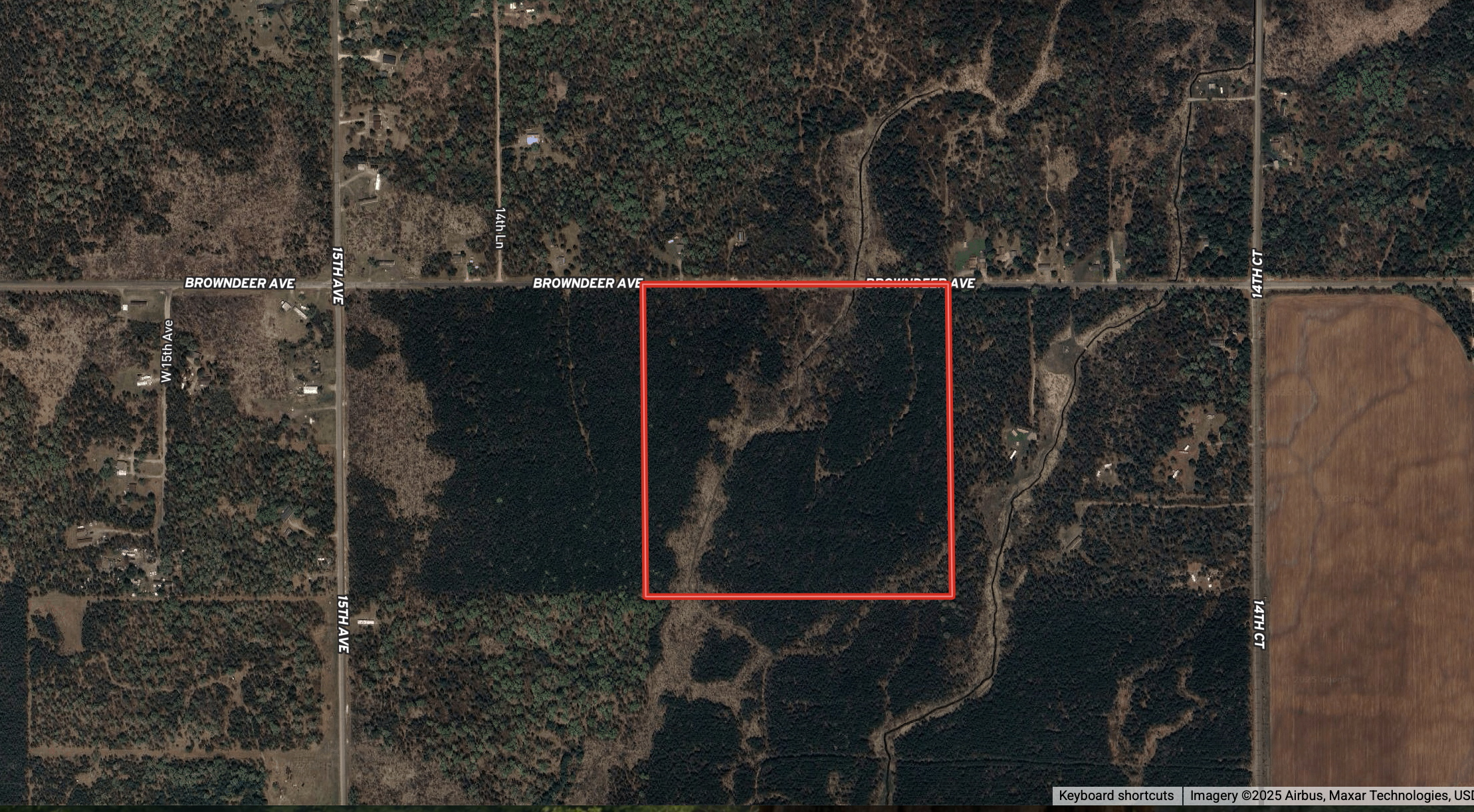 40-acre timbered tract in the Town of Big Flats