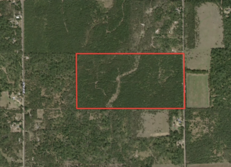 80-acre timber tract in the Town of Big Flats