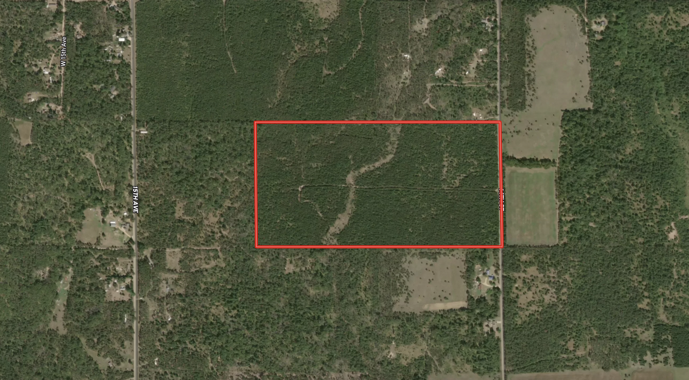80-acre timber tract in the Town of Big Flats