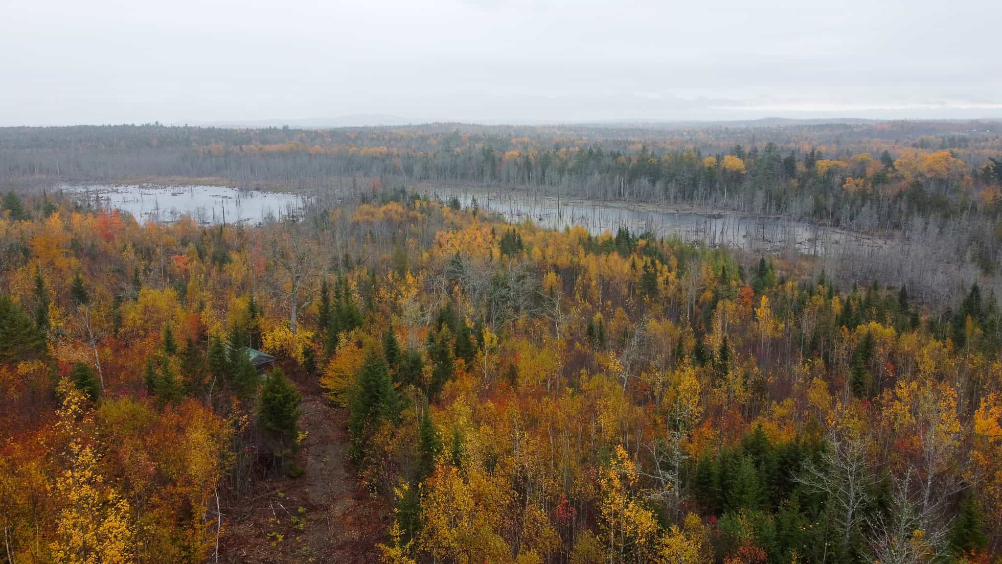 80± Acres Near the Coast – Pembroke, Maine