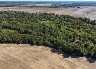 Yazoo River Hunting Tract 78.16 Acres