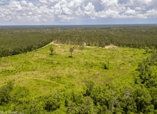 Land for Sale in Amite County, MS