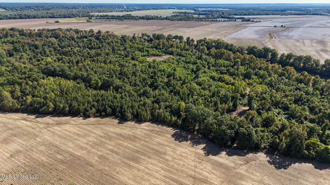 Yazoo River Hunting Tract 78.16 Acres
