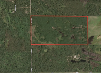 80-acre timber tract in Adams County