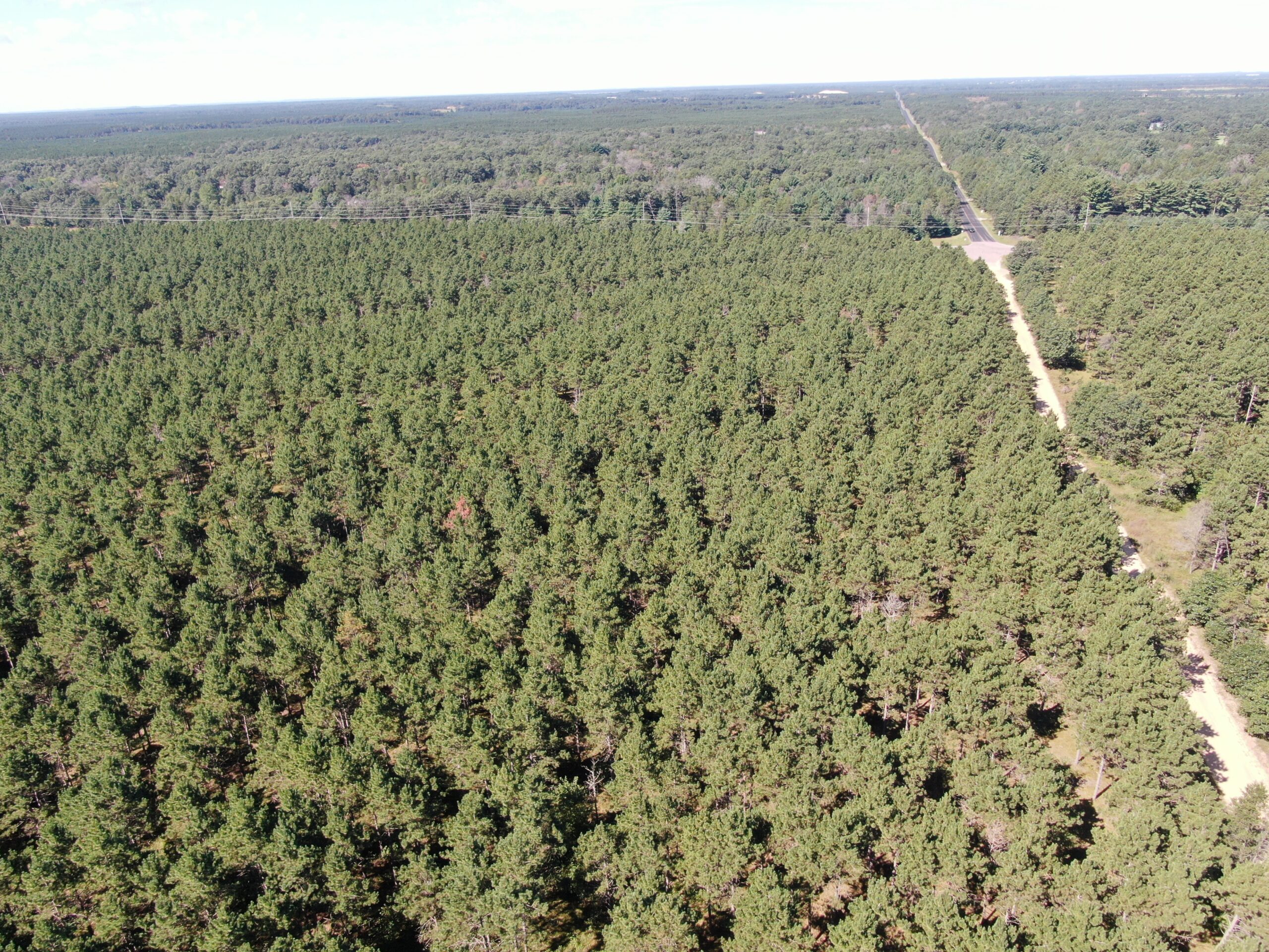 77-acre timber tract in the Town of Rome