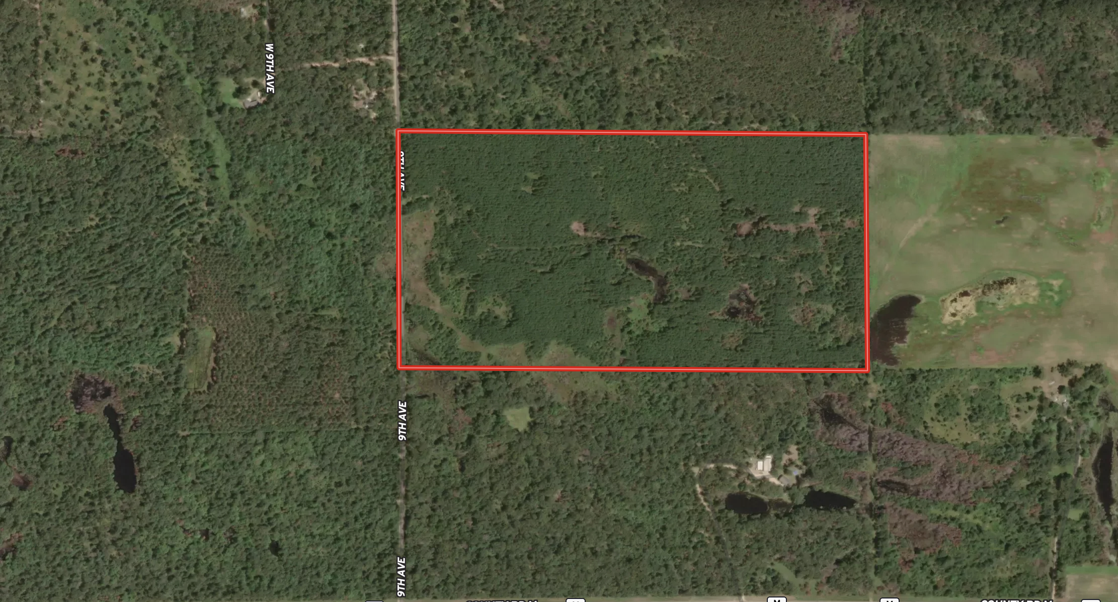 80-acre timber tract in Adams County
