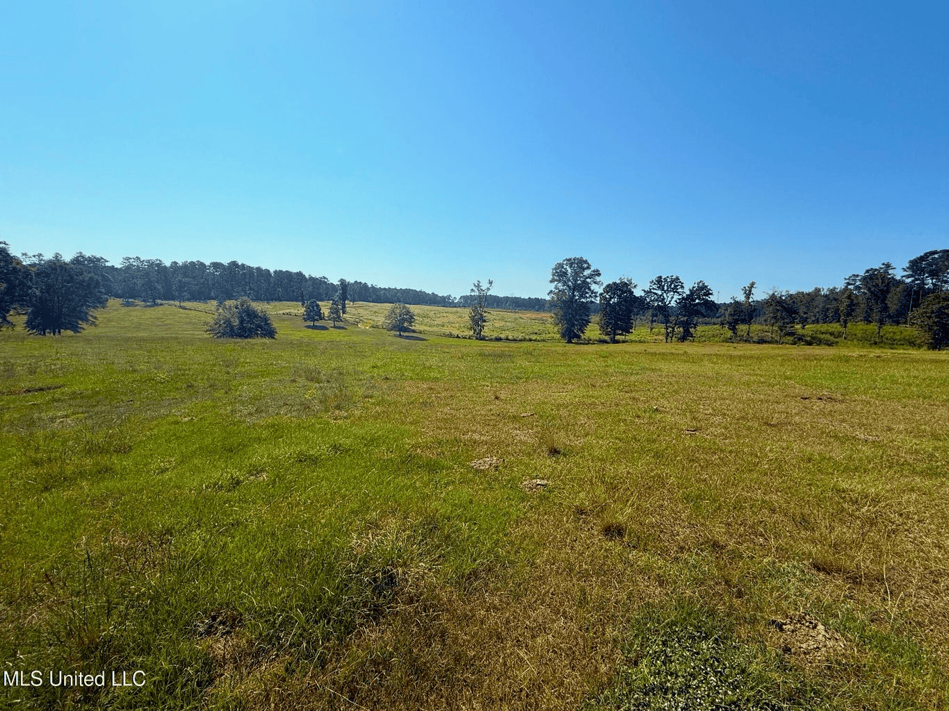 Rolling Hills Pastureland and Wooded land for sale