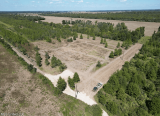 Tensas Parish Land Near Lake St. John – 80 Acres