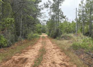 Prentiss MS Pasture Land for sale