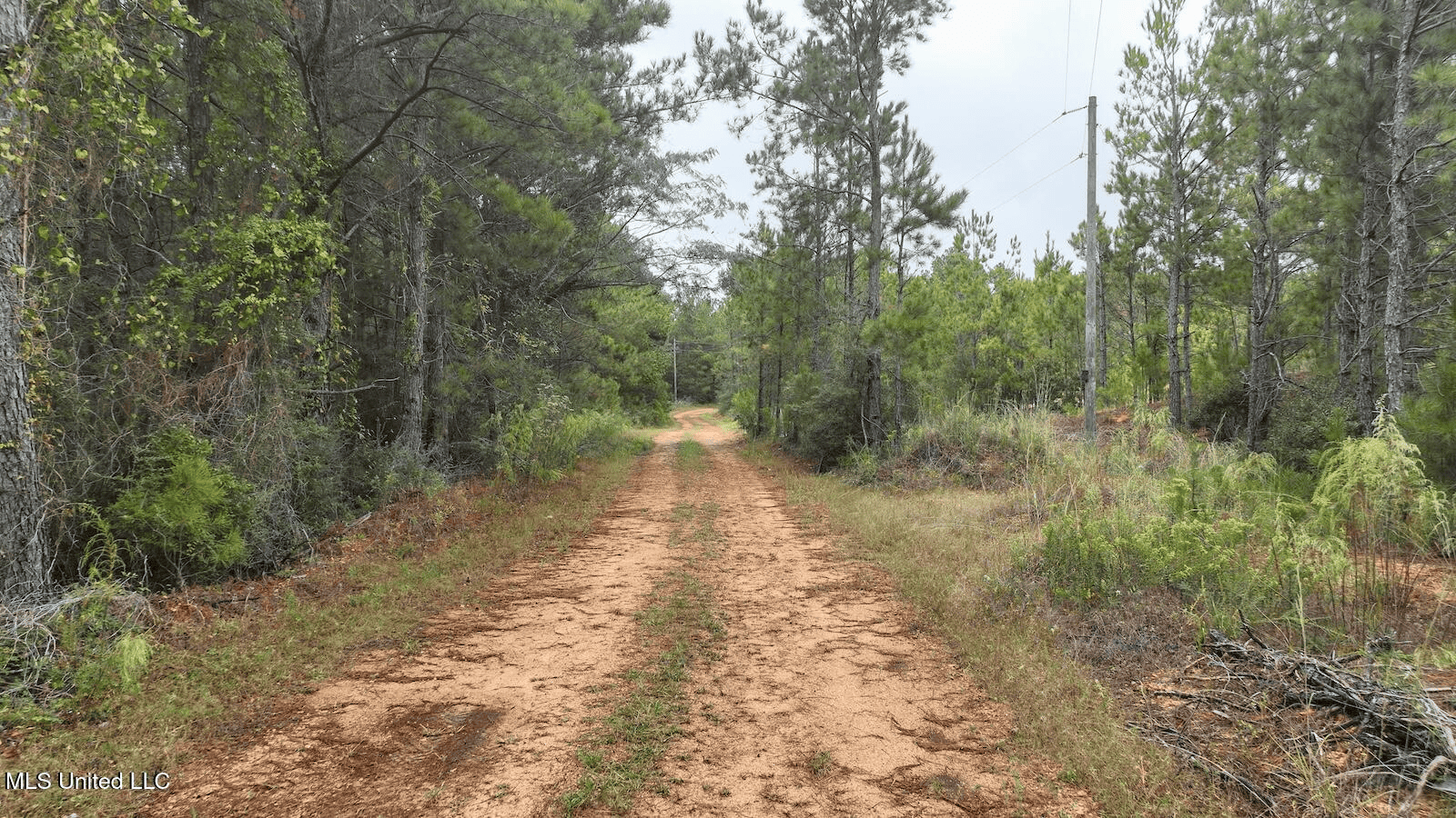 Prentiss MS Pasture Land for sale