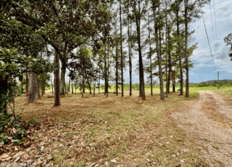 Farmhouse on Acreage with Hunting Land in Magnolia MS
