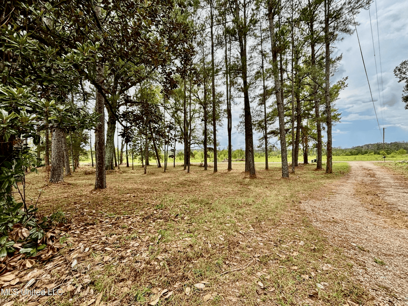 Farmhouse on Acreage with Hunting Land in Magnolia MS