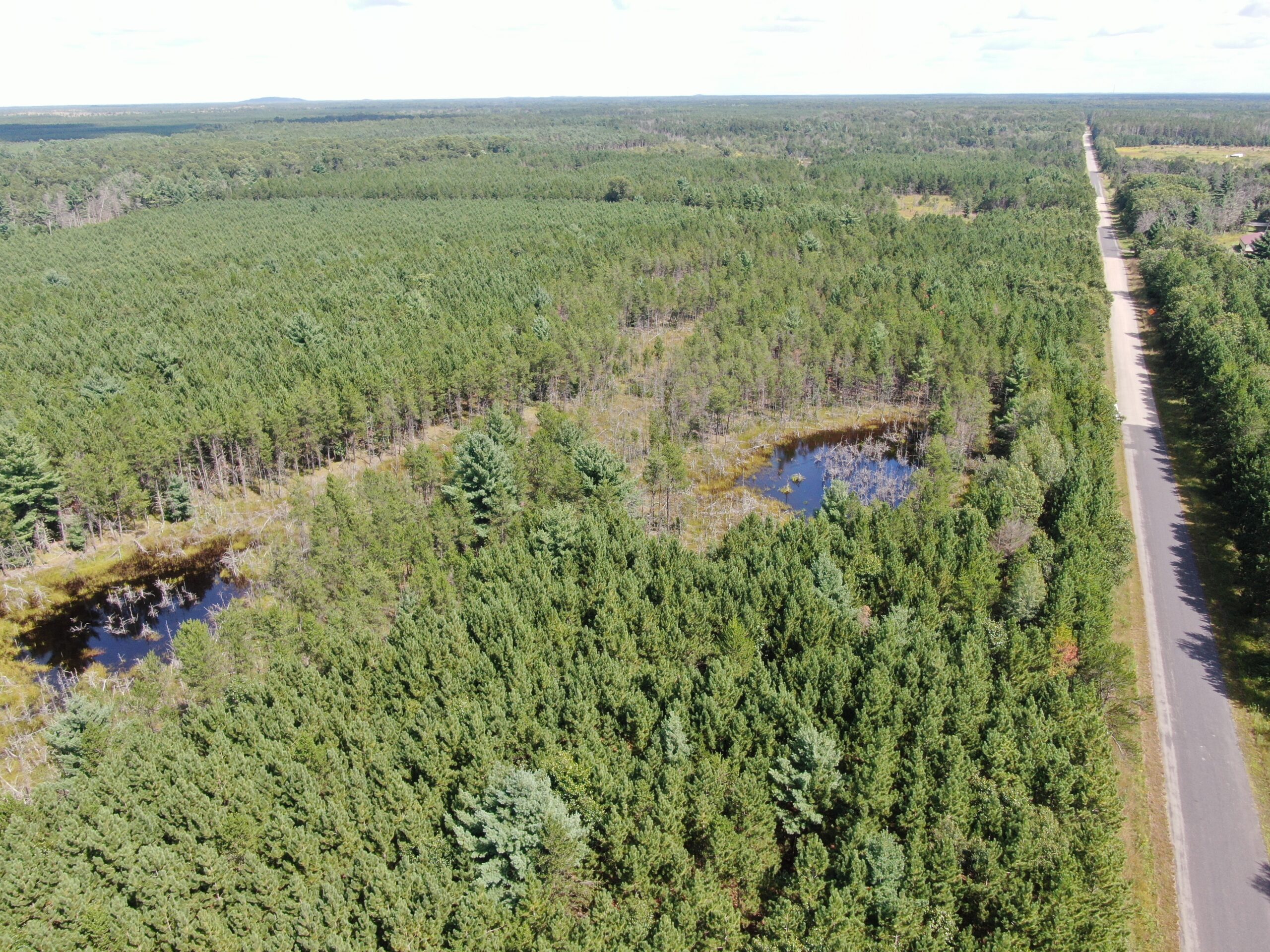 40-acre timber tract in the Town of Monroe, Adams County