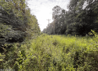 48 Acres for Sale in Jones County, MS Ellisvillle, MS