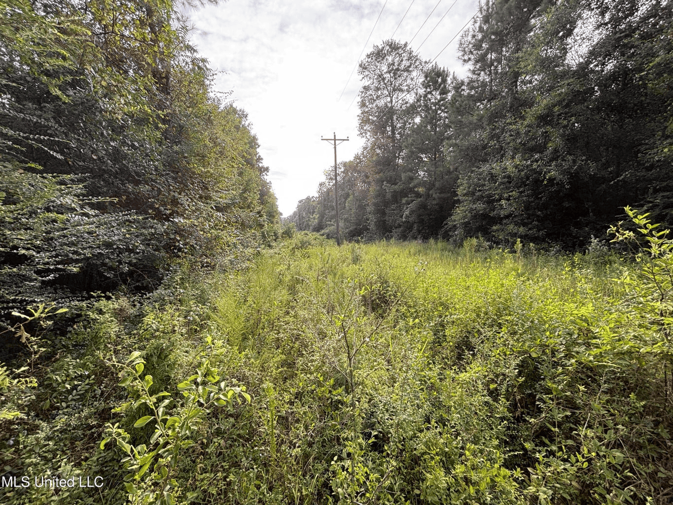 48 Acres for Sale in Jones County, MS Ellisvillle, MS