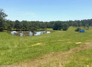 Rolling Hills Pastureland and Wooded land for sale