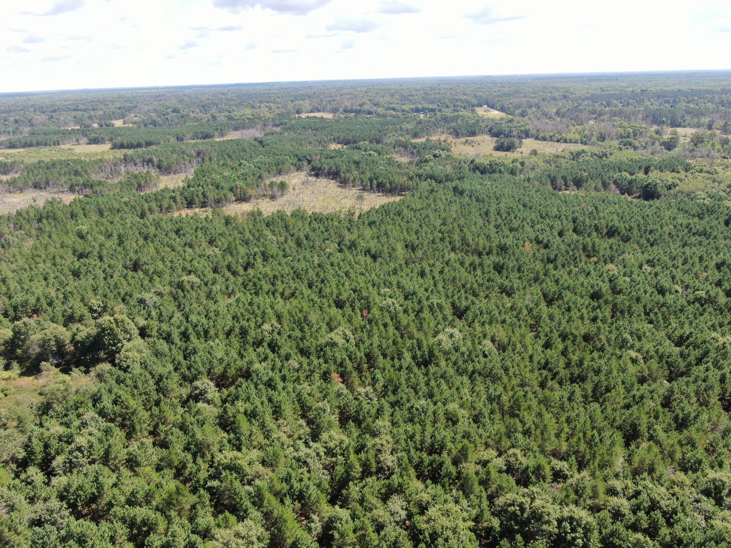 80-acre timbered tract in the Town of Big Flats, Adams County