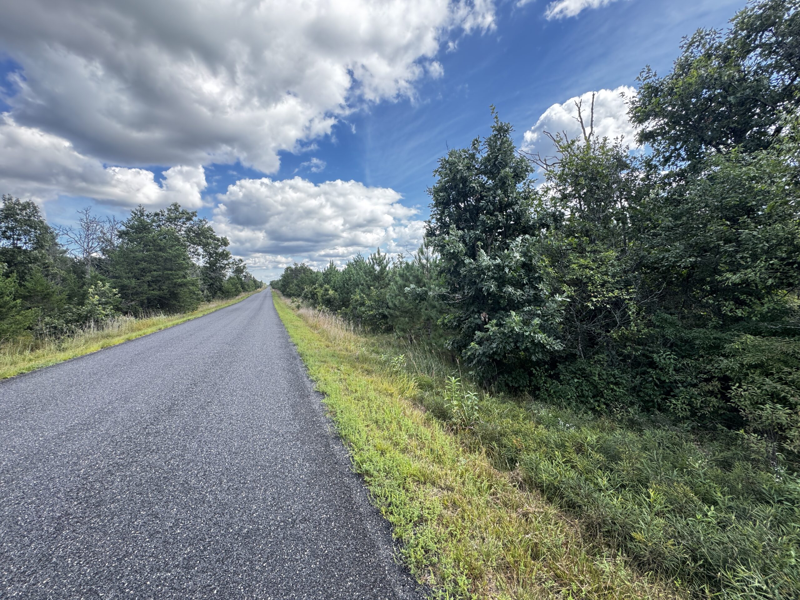 40-acre timber tract in Adams County