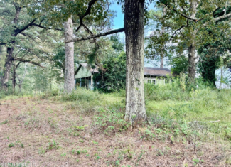80 Acres in Walthall County