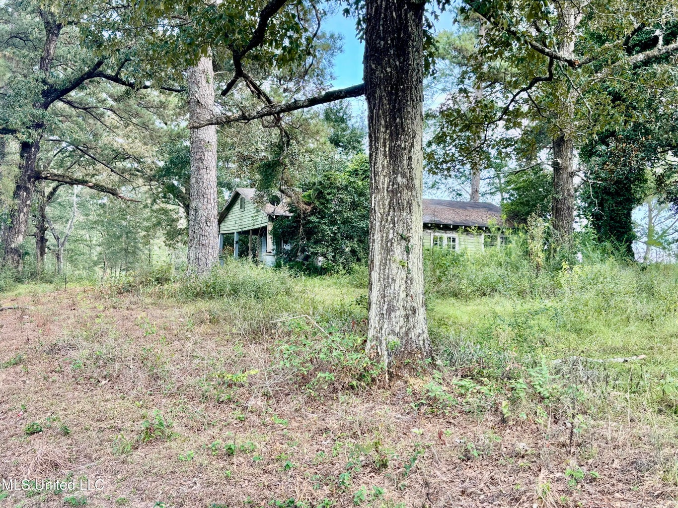 80 Acres in Walthall County