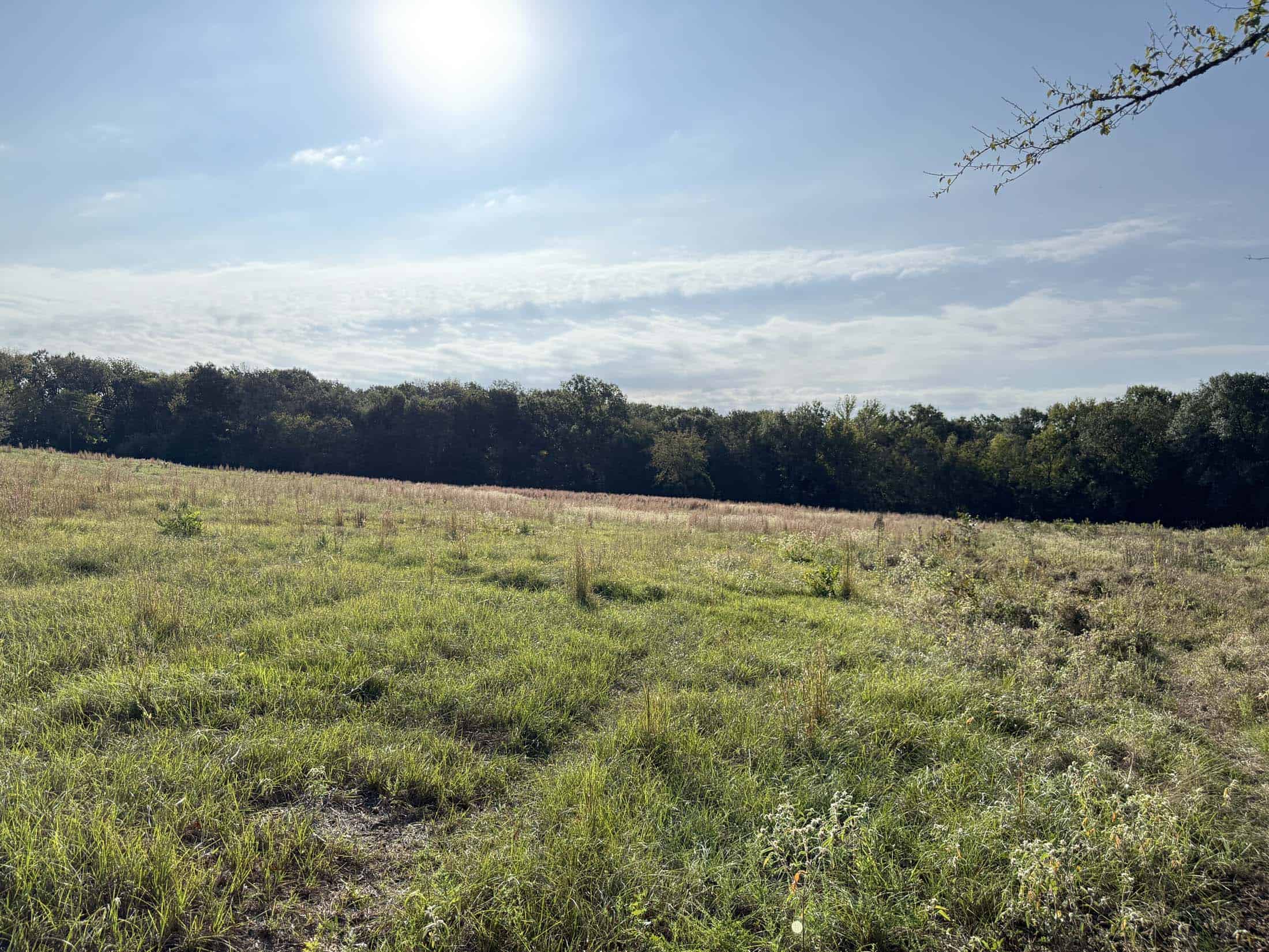 East Texas Hunting Property with Year-Round Creek in Fruitvale