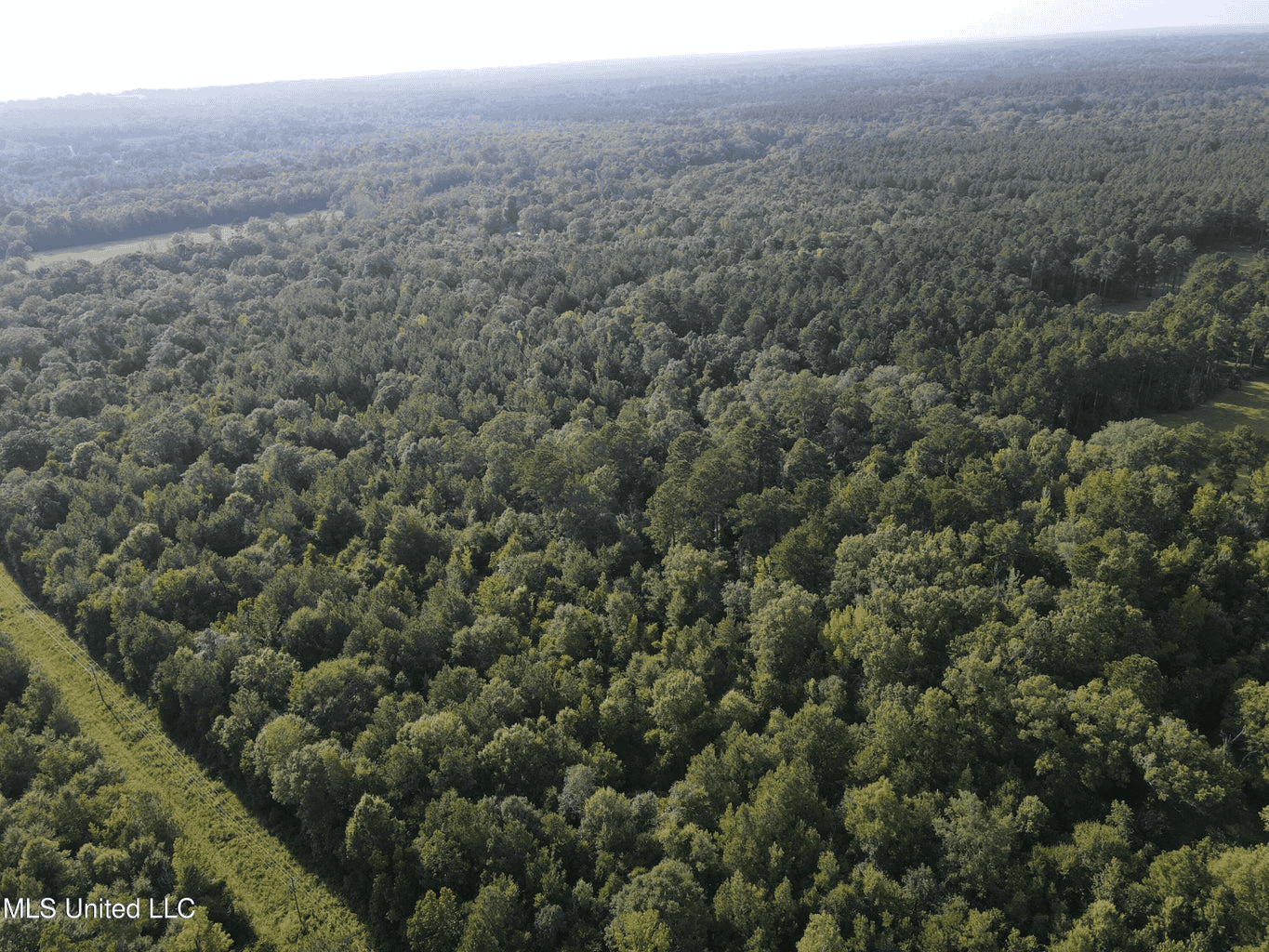 48 Acres for Sale in Jones County, MS Ellisvillle, MS