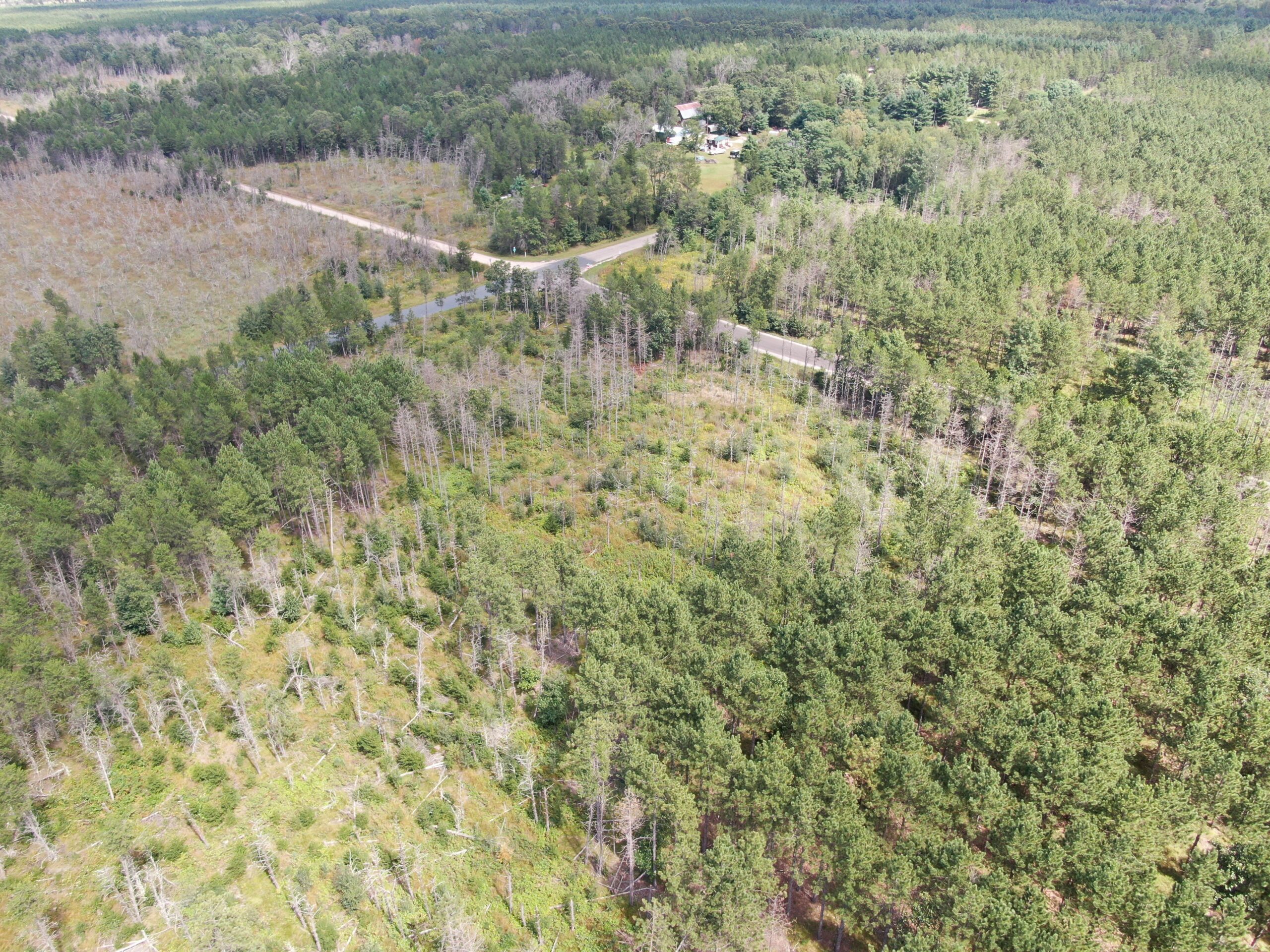 40-acre corner parcel in the Town of Monroe