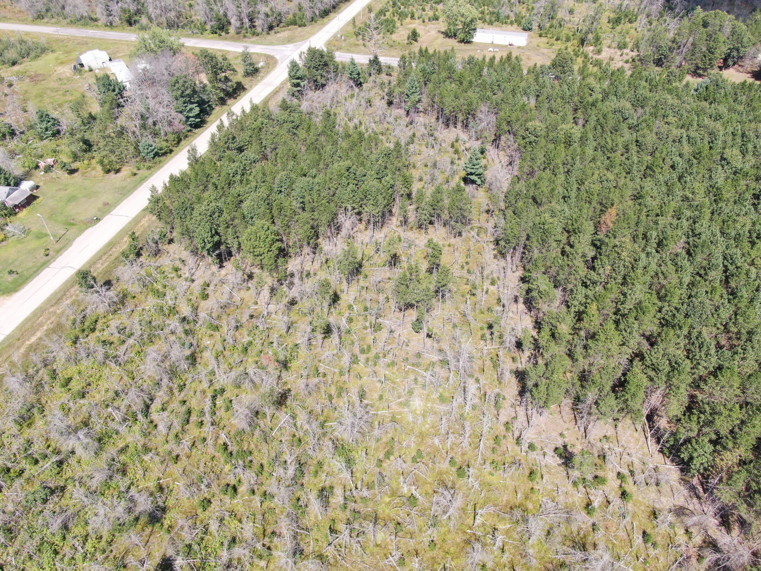 40-acre corner parcel in the Town of Big Flats, Adams County
