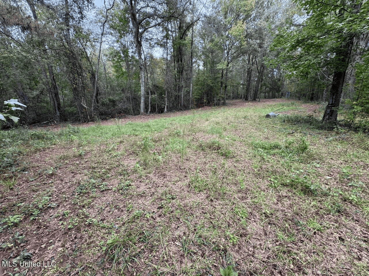 Hunting Land in Claiborne County, MS – The Sawmill 98