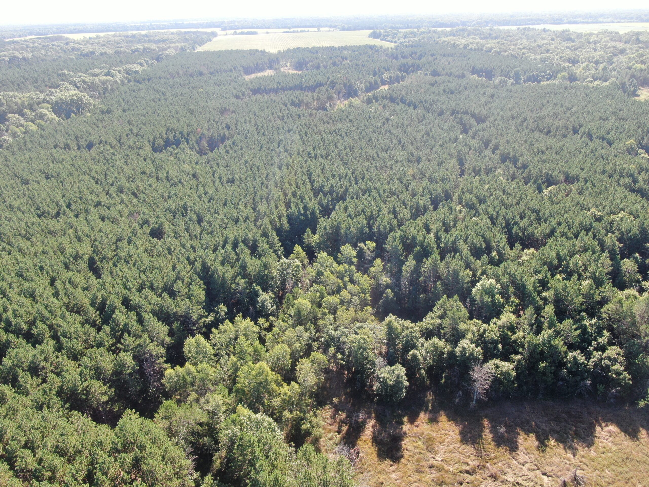 80-acre timber tract in Adams County