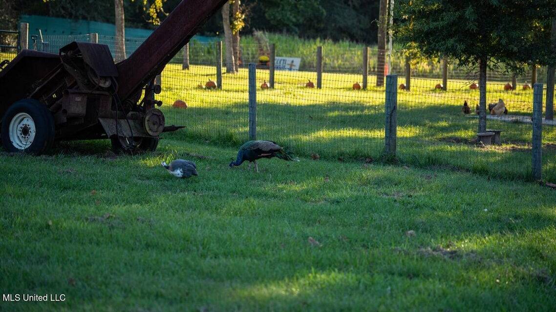 Magnolia Wilds – Premier Louisiana Investment Property for Sale