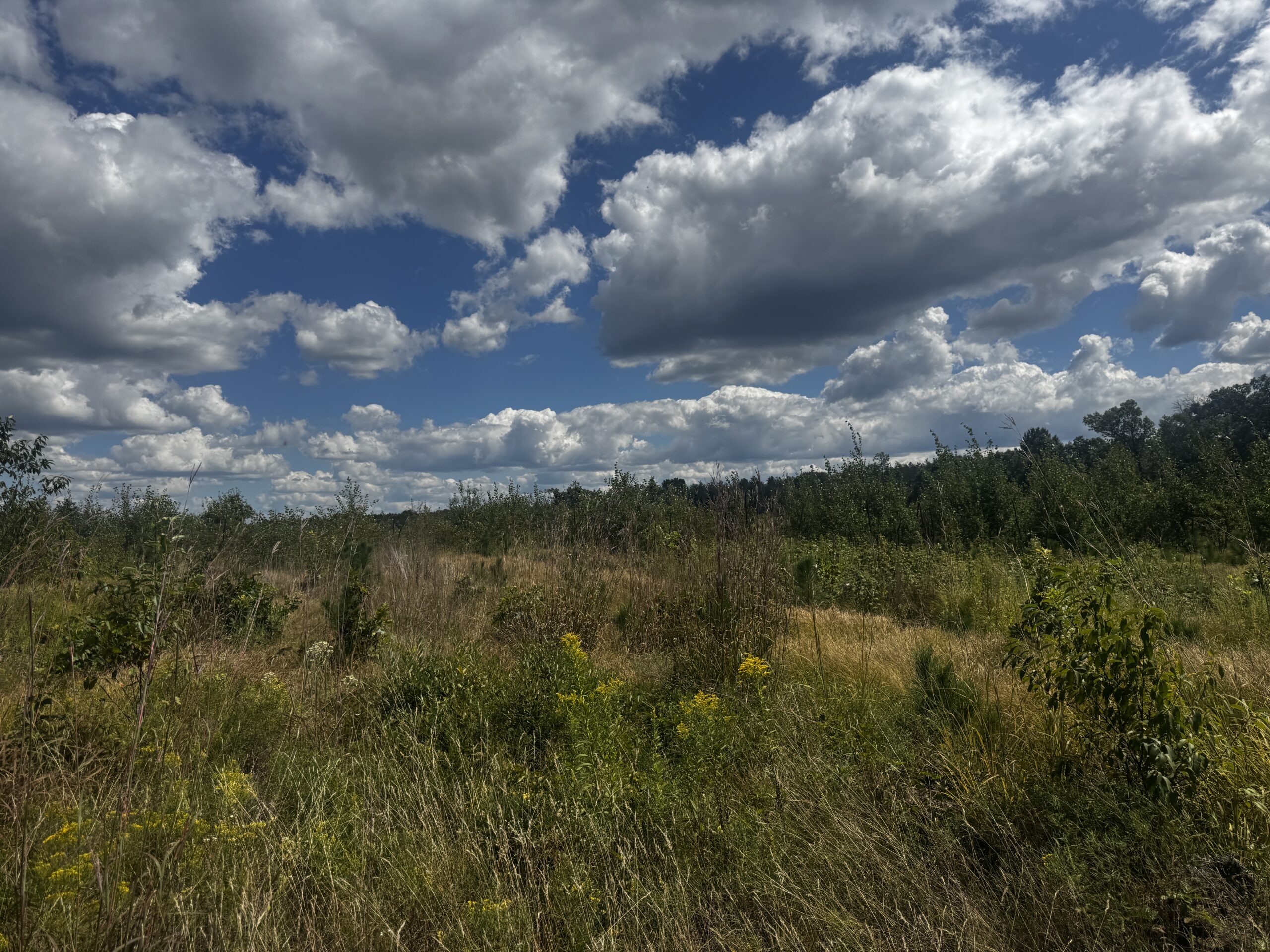 80-acre parcel in the Town of Big Flats
