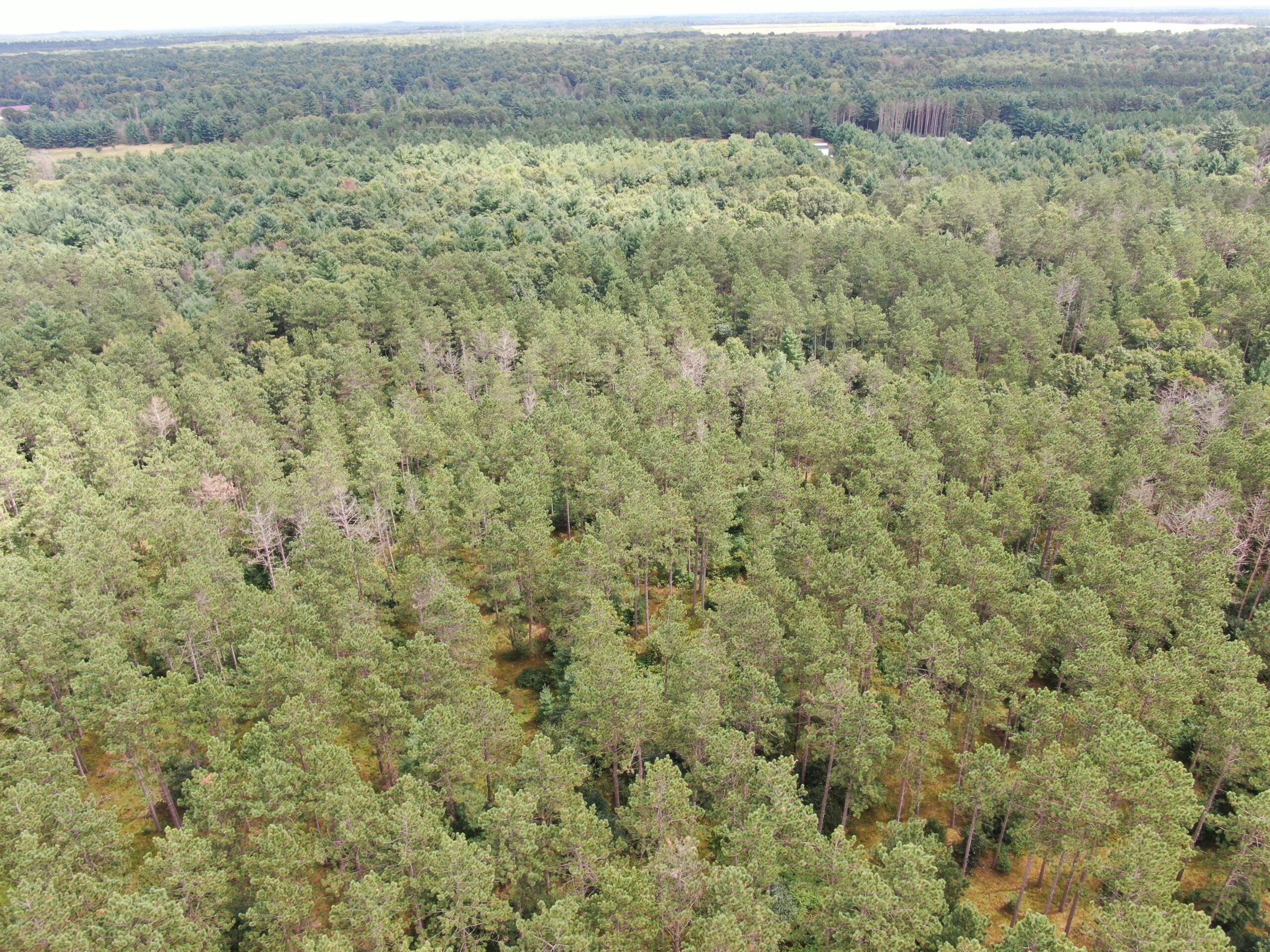 Escape to 80 acres of heavily timbered ground in Adams County