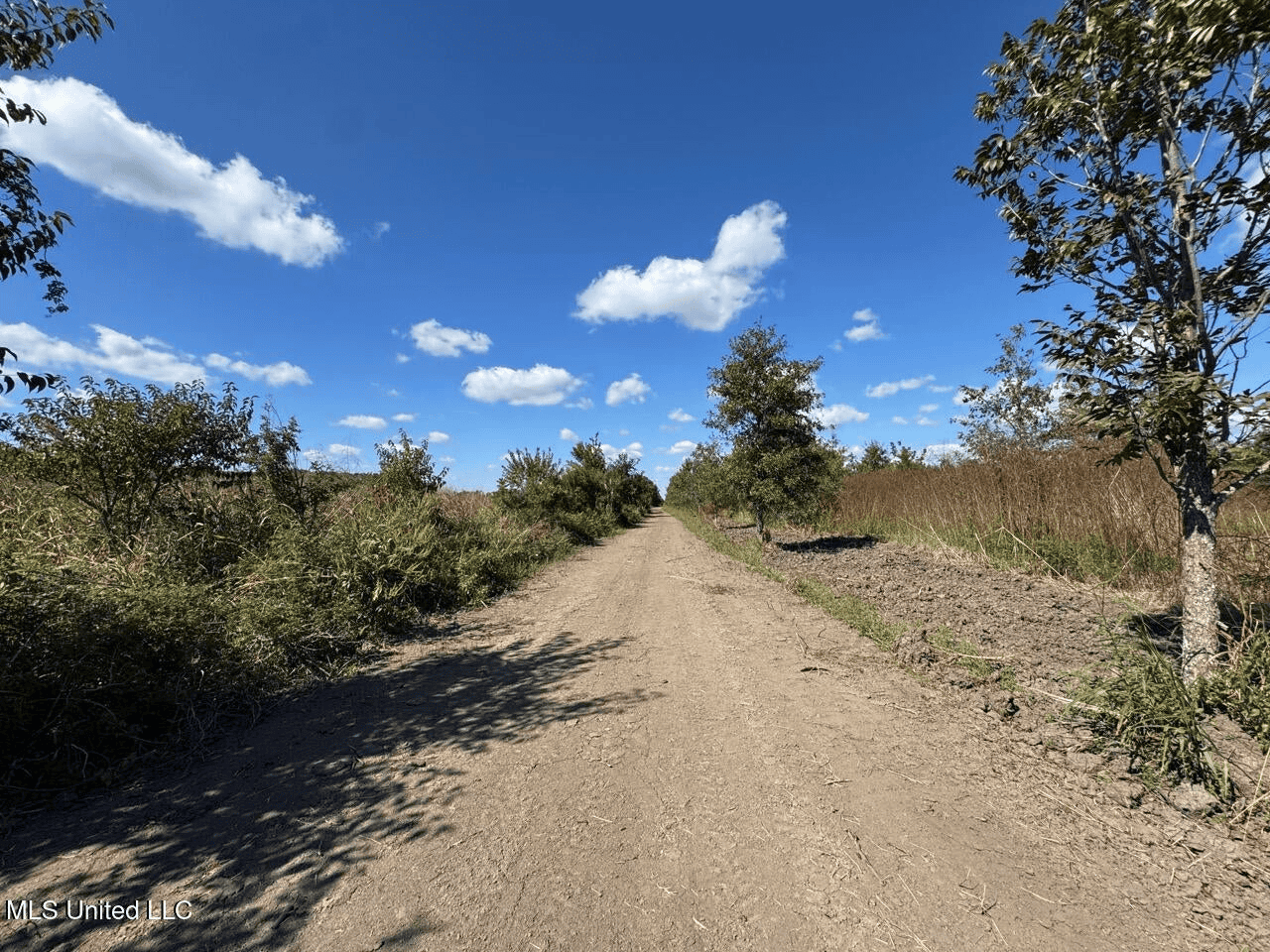 Tensas Parish Land Near Lake St. John – 80 Acres