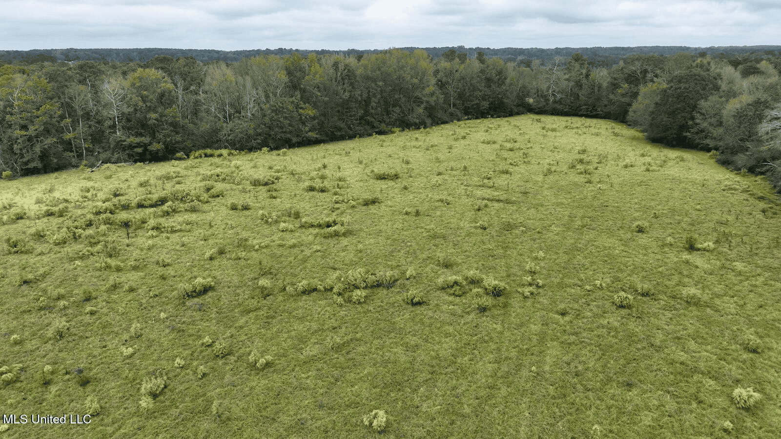 Prentiss MS Pasture Land for sale
