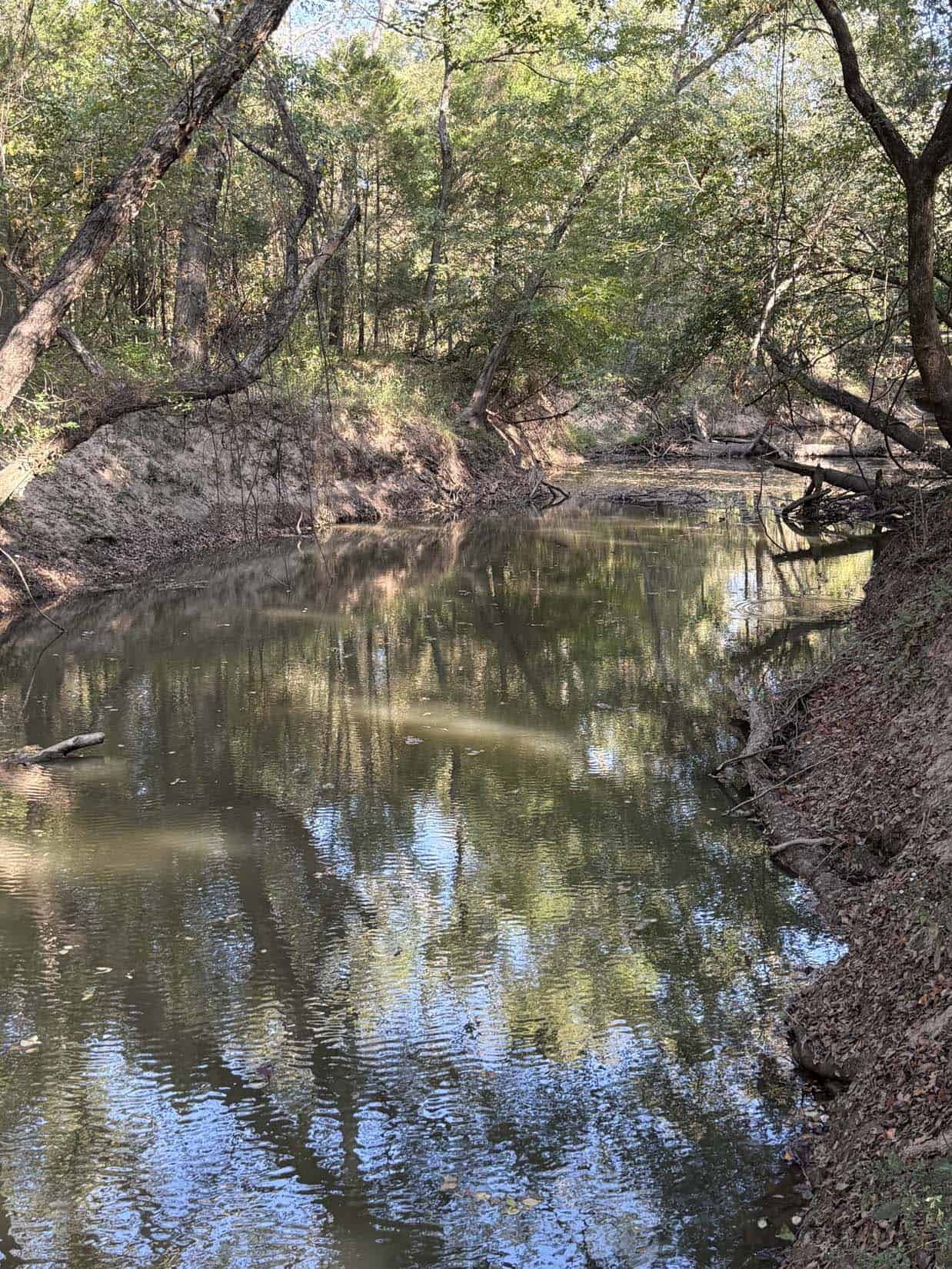 East Texas Hunting Property with Year-Round Creek in Fruitvale