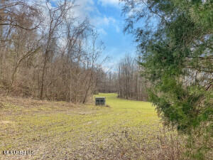 Southside Land Share for Sale in Jefferson County, MS