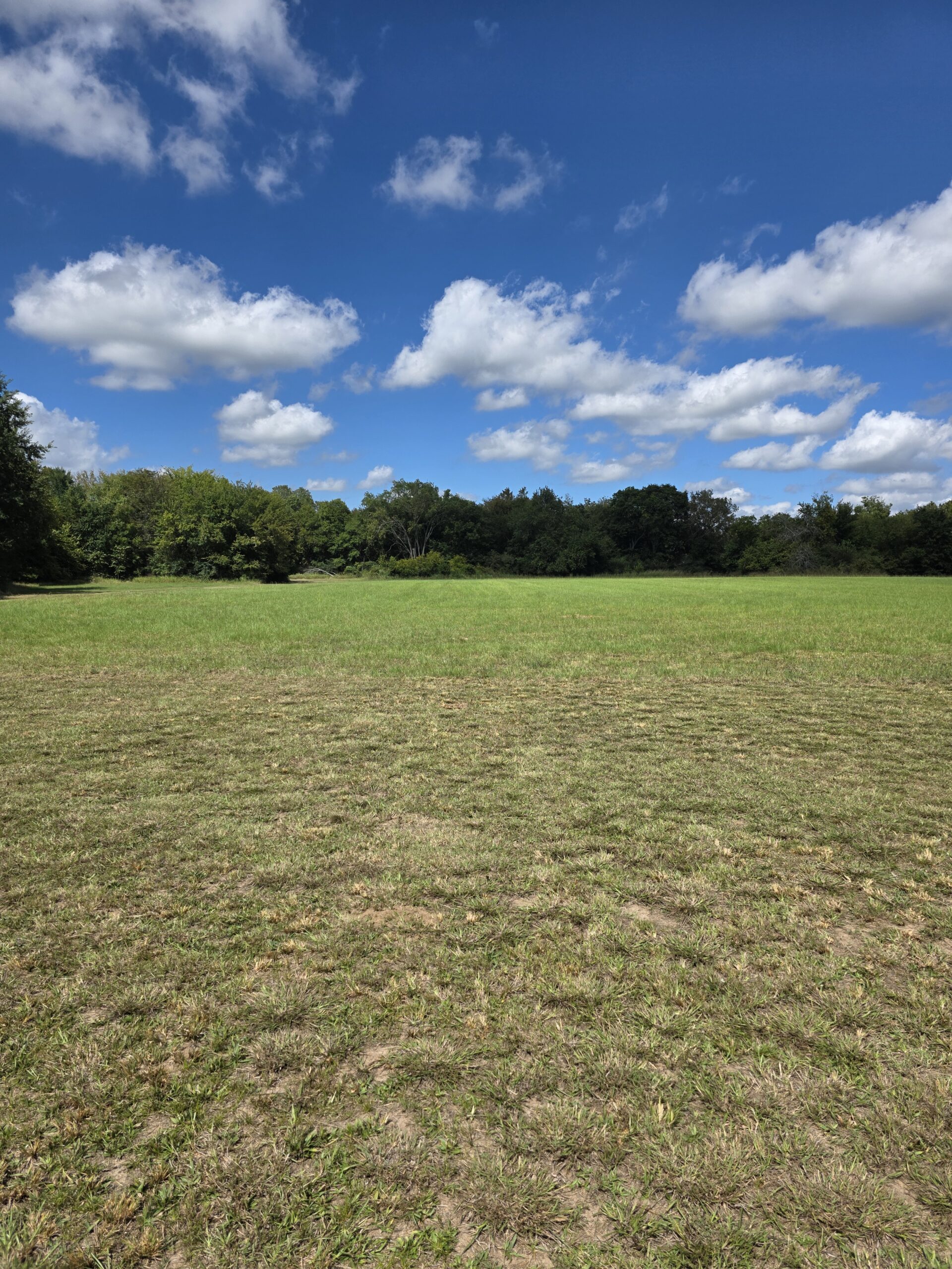 20 Acres with Shop and Living Quarters for Sale – Secluded Land in Boswell, OK