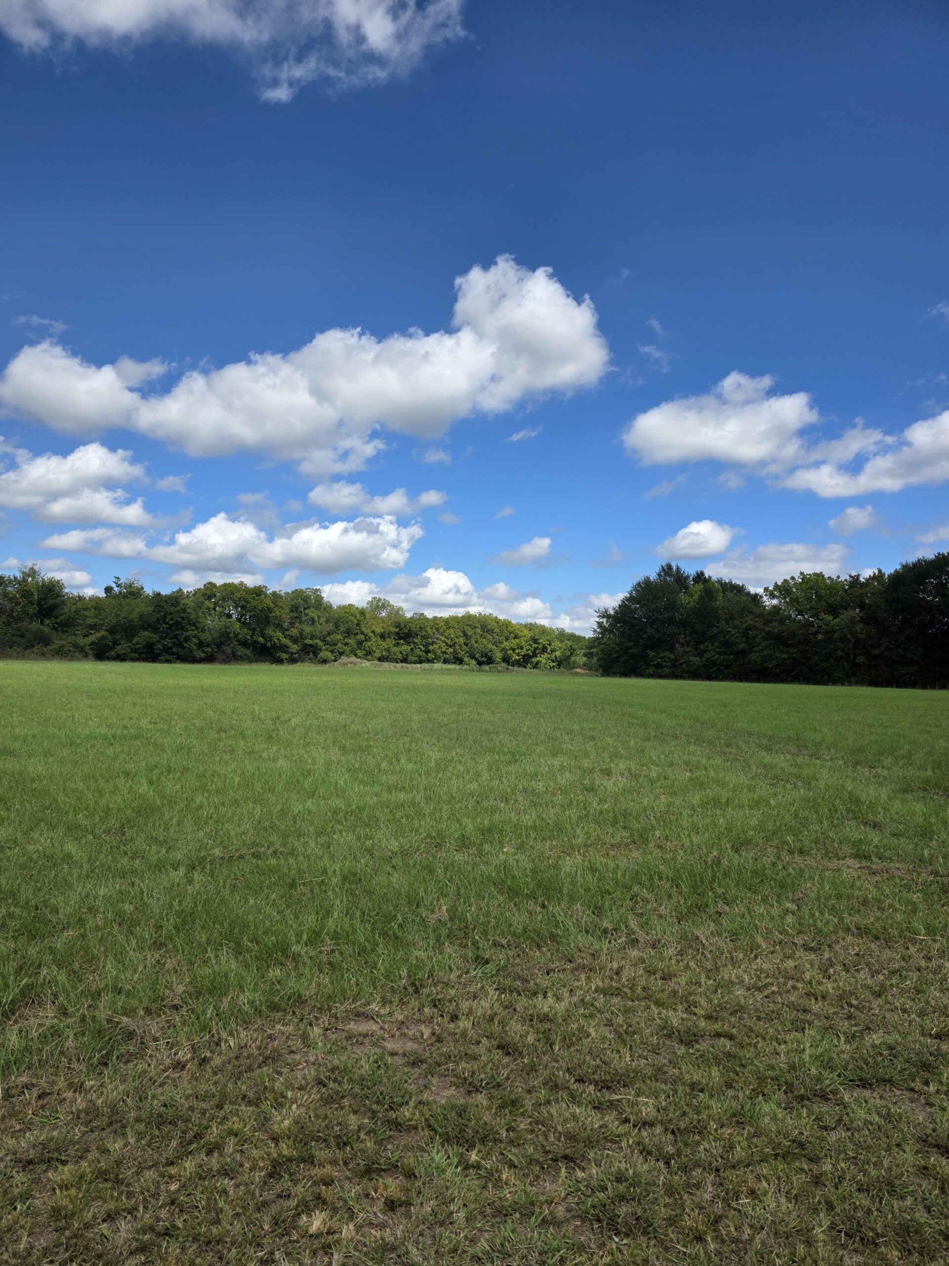 20 Acres with Shop and Living Quarters for Sale – Secluded Land in Boswell, OK