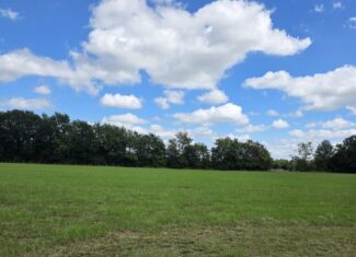 20 Acres with Shop and Living Quarters for Sale – Secluded Land in Boswell, OK