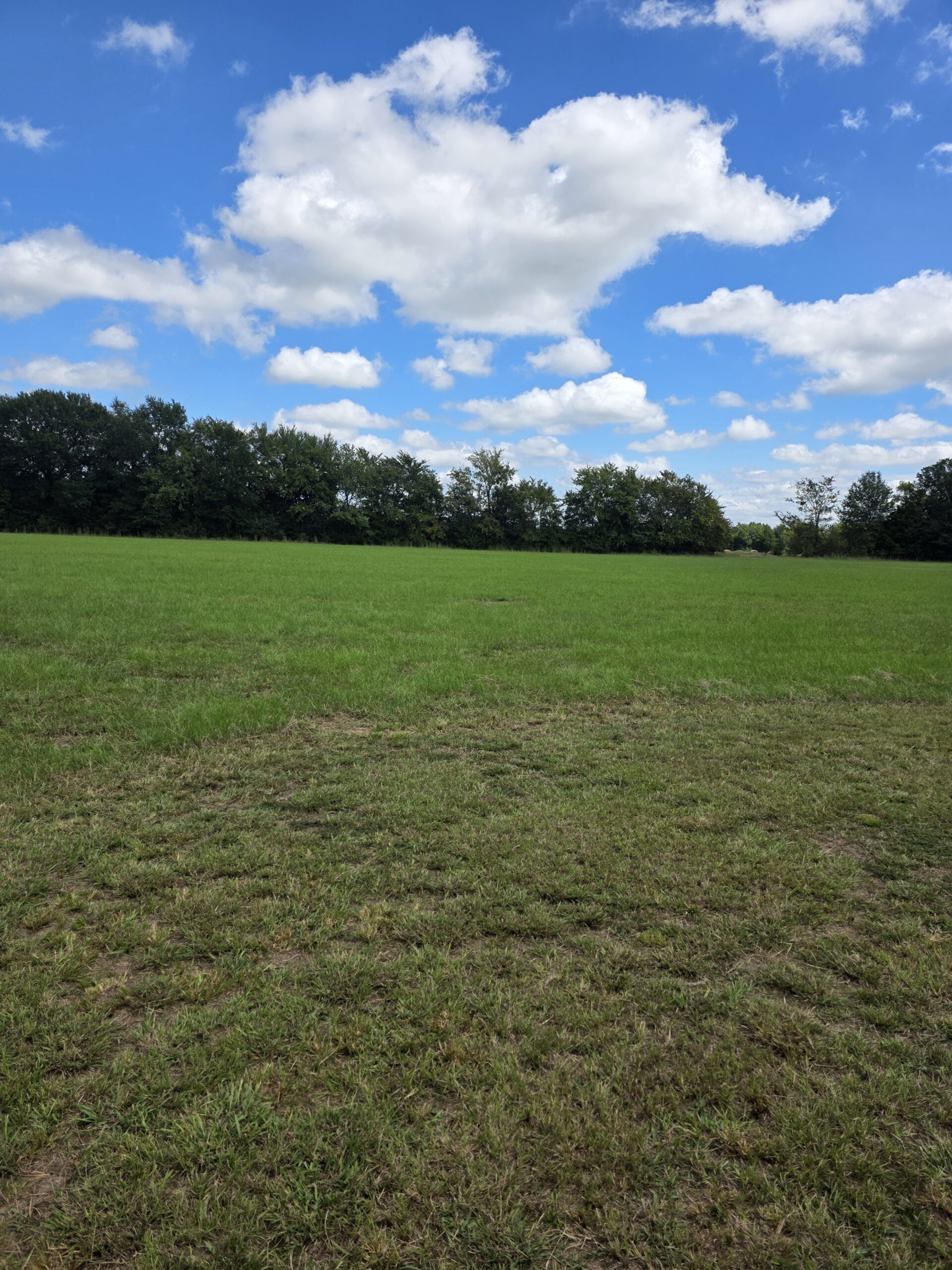 20 Acres with Shop and Living Quarters for Sale – Secluded Land in Boswell, OK