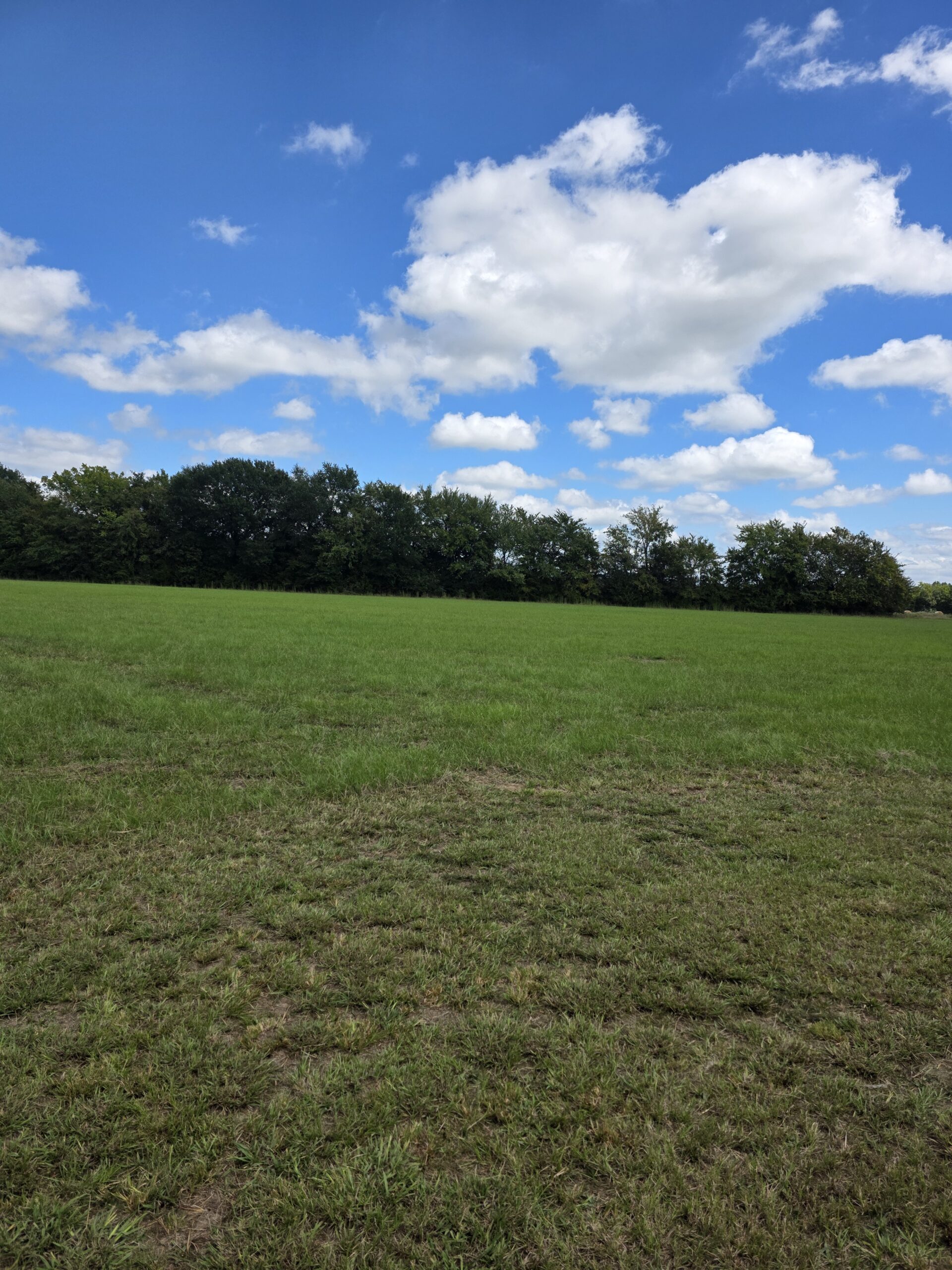 20 Acres with Shop and Living Quarters for Sale – Secluded Land in Boswell, OK