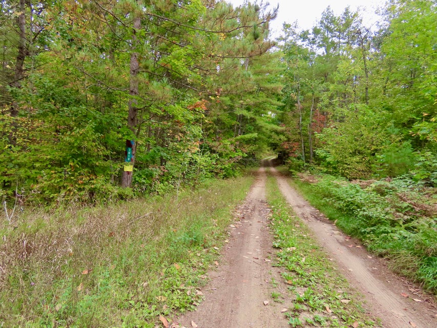 Elk Country Retreat in Atlanta, MI