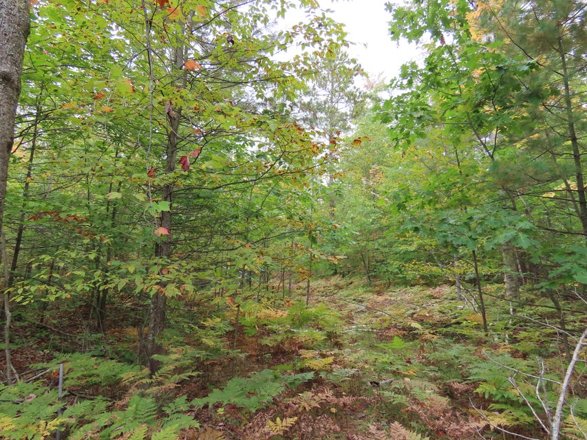 Elk Country Retreat in Atlanta, MI