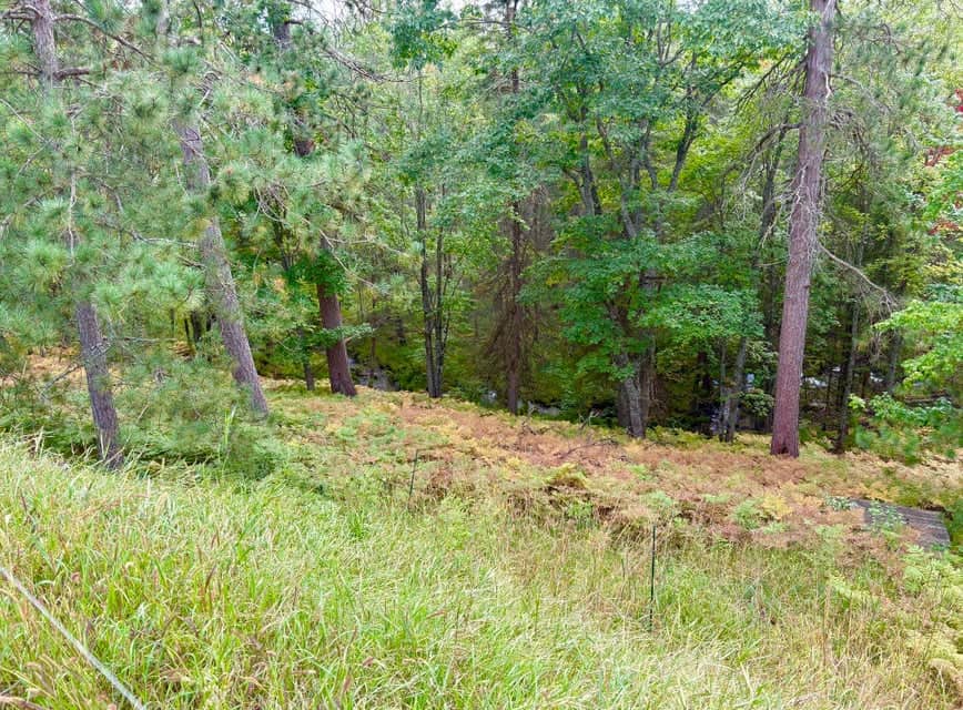 Northern Michigan Home for Sale in Canada Creek Ranch Atlanta MI